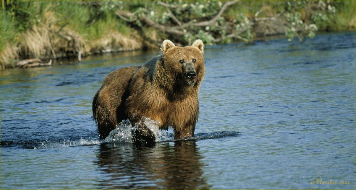 Туризм в Ярославской области: самое интересное