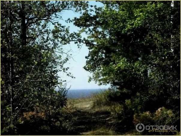 (ульяновская, область, база, отдыха, белый) Ульяновская область: база отдыха