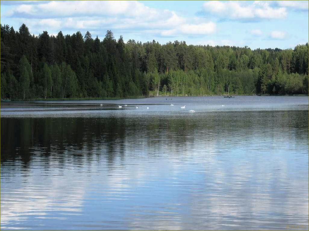 Верхошижемье — уникальные достопримечательности Кировской области, о которых вы не слышали