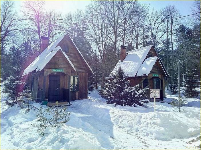 (месяцев, отдыха, вологодской, области, отличная) 12 месяцев отдыха в Вологодской области — отличная база для незабываемых каникул