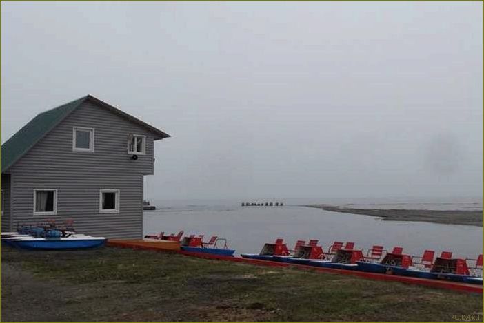 (база, отдыха, чайка, иркутской, области) База отдыха