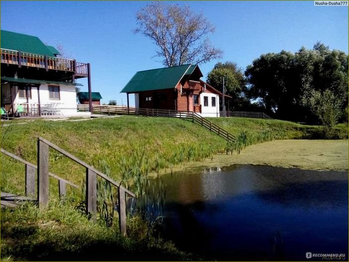 Путешествие в уникальную базу отдыха Коломна Московской области — отдых на природе, разнообразные развлечения и комфортабельное проживание