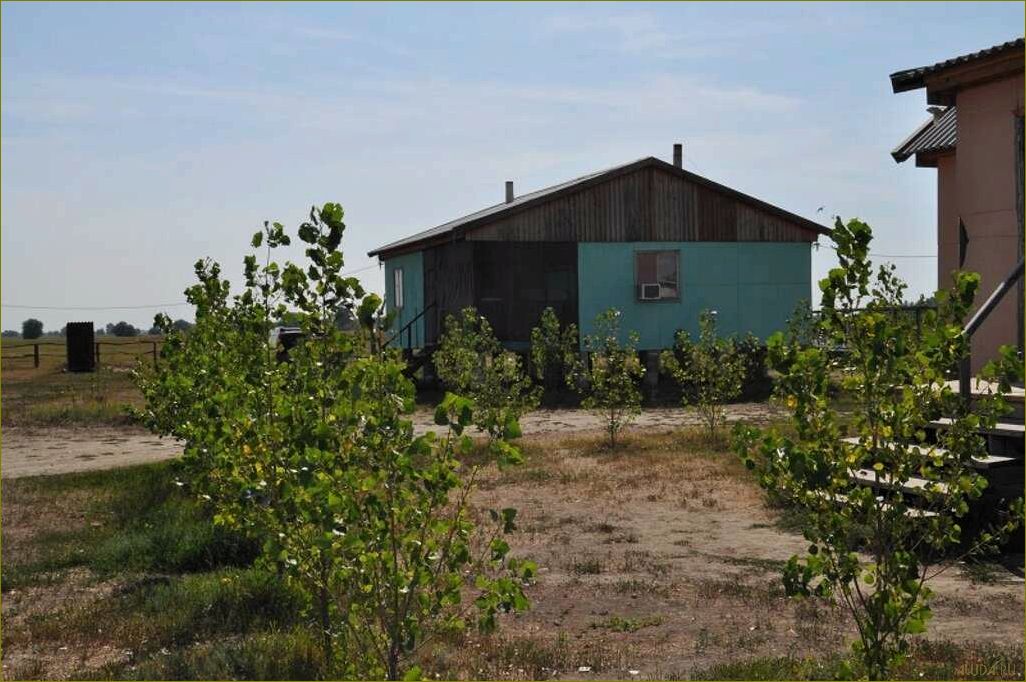 Уникальная база отдыха в живописном садовом уголке Астраханской области, предлагающая незабываемые впечатления и комфортный отдых