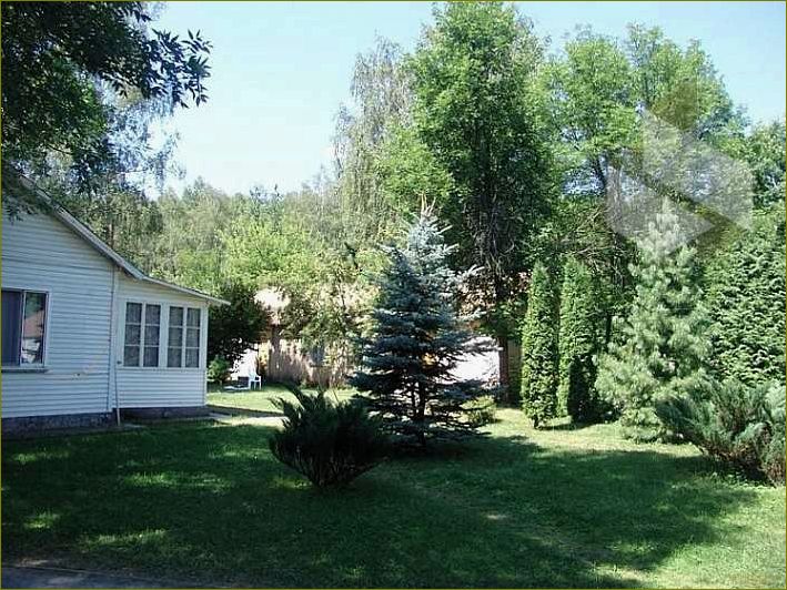 База отдыха 