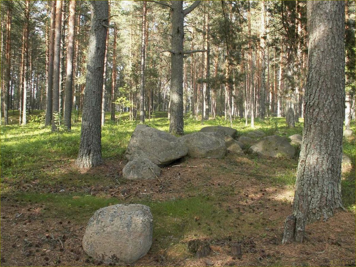 (база, отдыха, бабаево, вологодской, области) База отдыха в Бабаево Вологодской области — идеальное место для незабываемого отпуска и релаксации на природе