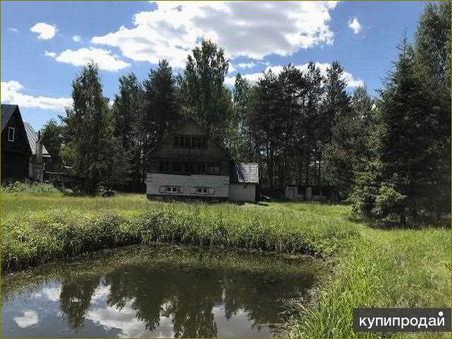 База отдыха &laquo;Крутояк&raquo; — идеальное место для отпуска во Владимирской области, где совмещаются комфорт, разнообразие развлечений и близость к природе