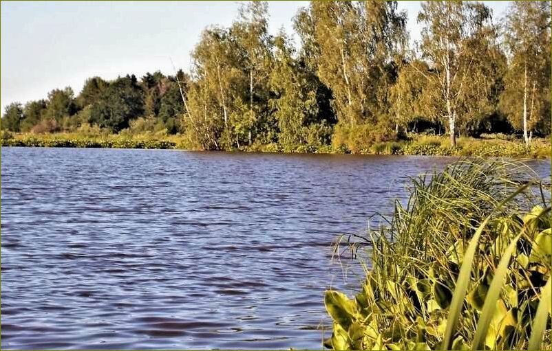 База отдыха 