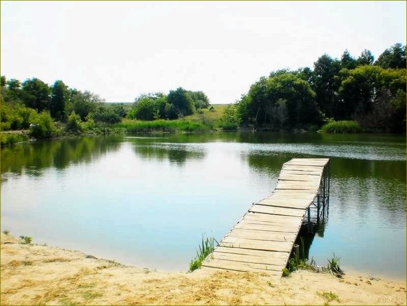 База отдыха с рыбалкой в Белгородской области — идеальное место для рыбаков и любителей активного отдыха в окружении природы