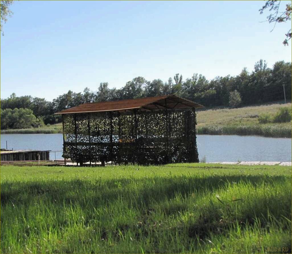 База отдыха с рыбалкой в Белгородской области — идеальное место для рыбаков и любителей активного отдыха в окружении природы