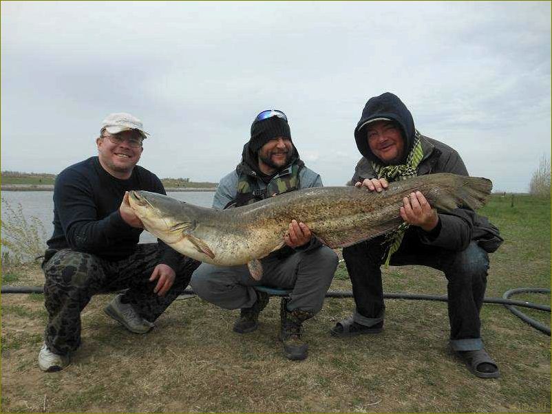 Отдых в живописных Харабалях — наслаждайтесь природой и комфортом в базе отдыха Астраханской области