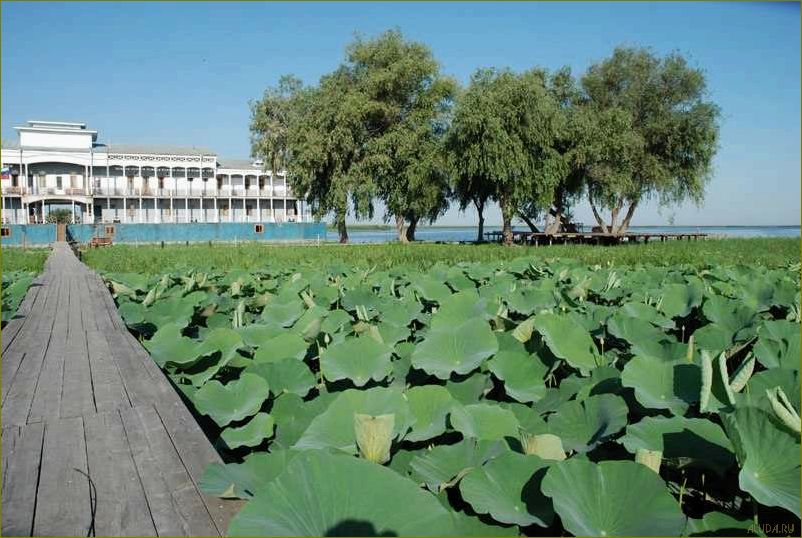 (уникальная, база, отдыха, живописном, поселке) Уникальная база отдыха в живописном поселке Кировский Астраханской области с прекрасными условиями для активного отдыха