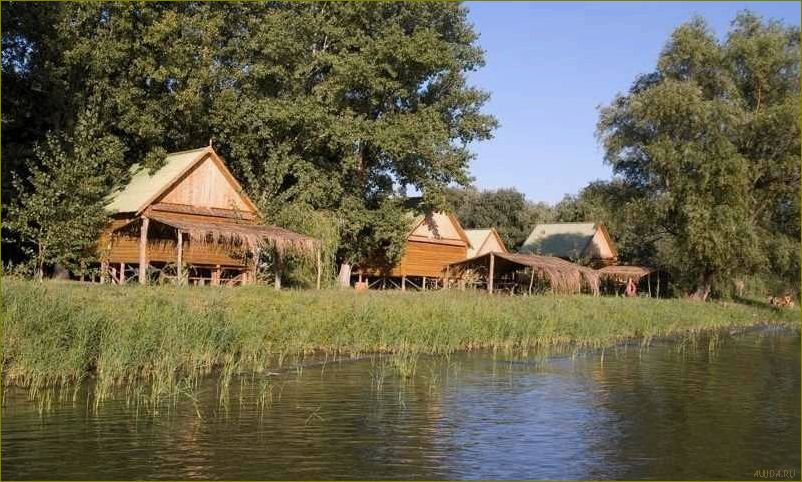 (уникальная, база, отдыха, живописном, поселке) Уникальная база отдыха в живописном поселке Кировский Астраханской области с прекрасными условиями для активного отдыха