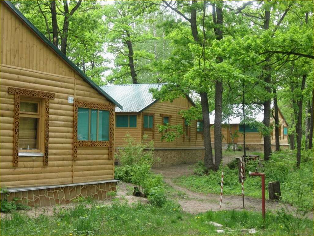 (роскошная, база, отдыха, уникальными, возможностями) Роскошная база отдыха с уникальными возможностями для отдыха и развлечений в живописной Владимировке Воронежской области