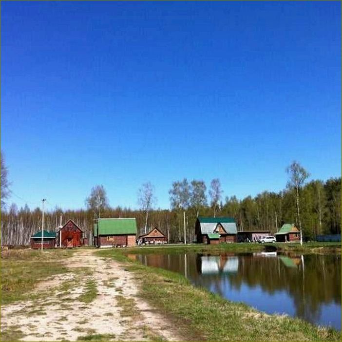Лучшие базы отдыха в Коврове и Владимирской области — где провести незабываемый отпуск на природе
