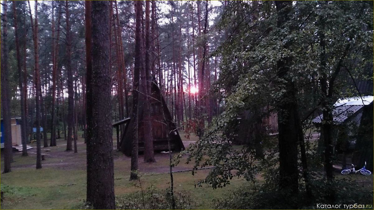 Лучшие базы отдыха в Коврове и Владимирской области — где провести незабываемый отпуск на природе