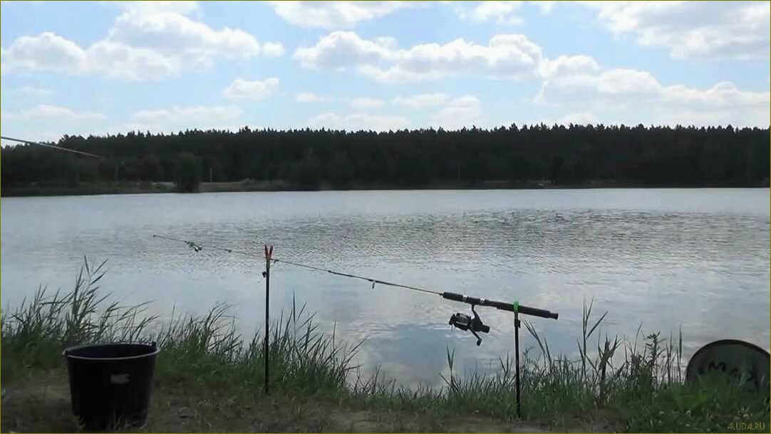 Лучшие базы отдыха для рыбалки в Курганской области — отличный отдых и уловистые промысловые водоемы