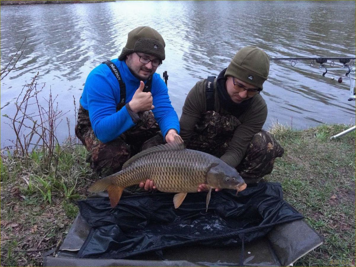 Лучшие базы отдыха для рыбалки в Курганской области — отличный отдых и уловистые промысловые водоемы