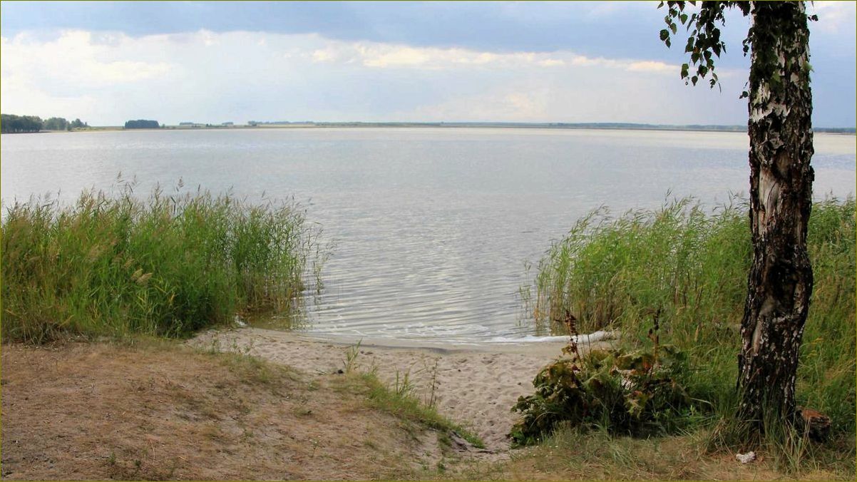 Лучшие базы отдыха для рыбалки в Курганской области — отличный отдых и уловистые промысловые водоемы