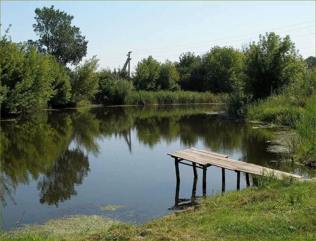 Базы отдыха в Борисовском районе Белгородской области — лучшие места для отдыха и релаксации