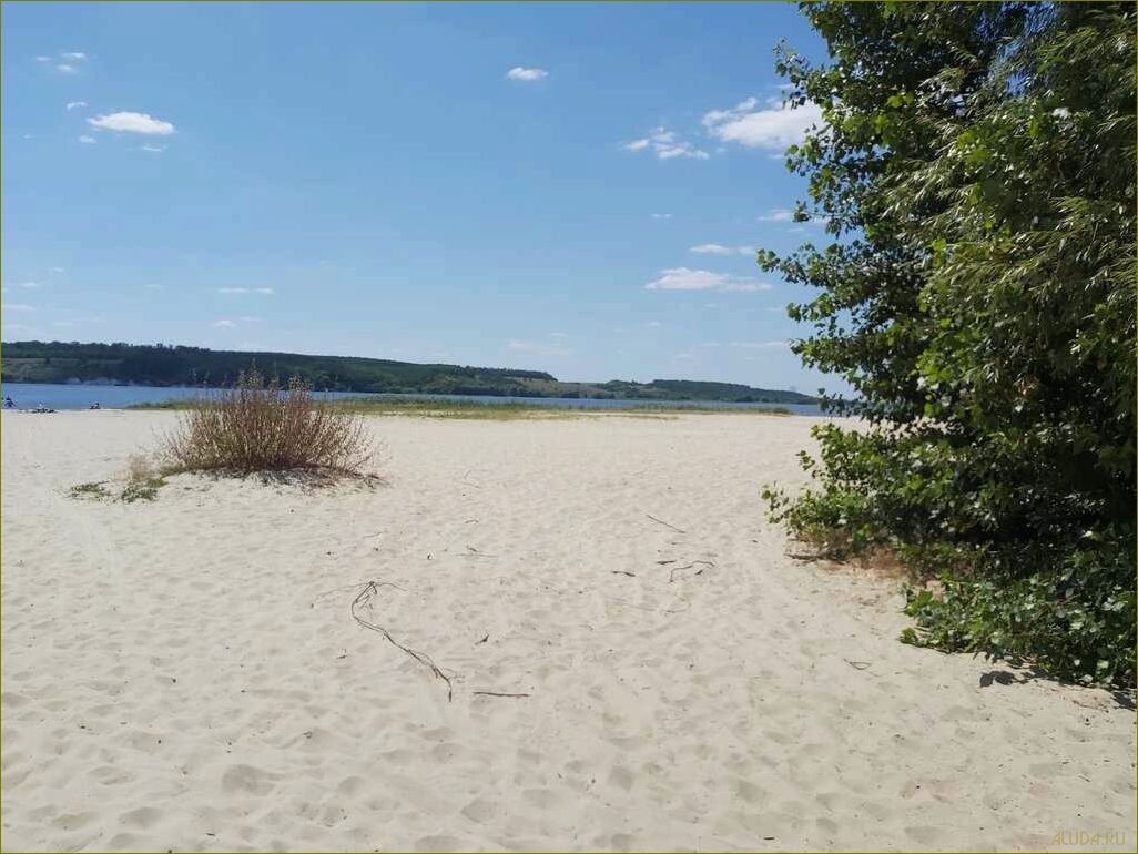 Белгородская область предлагает уникальные возможности для отдыха на море 