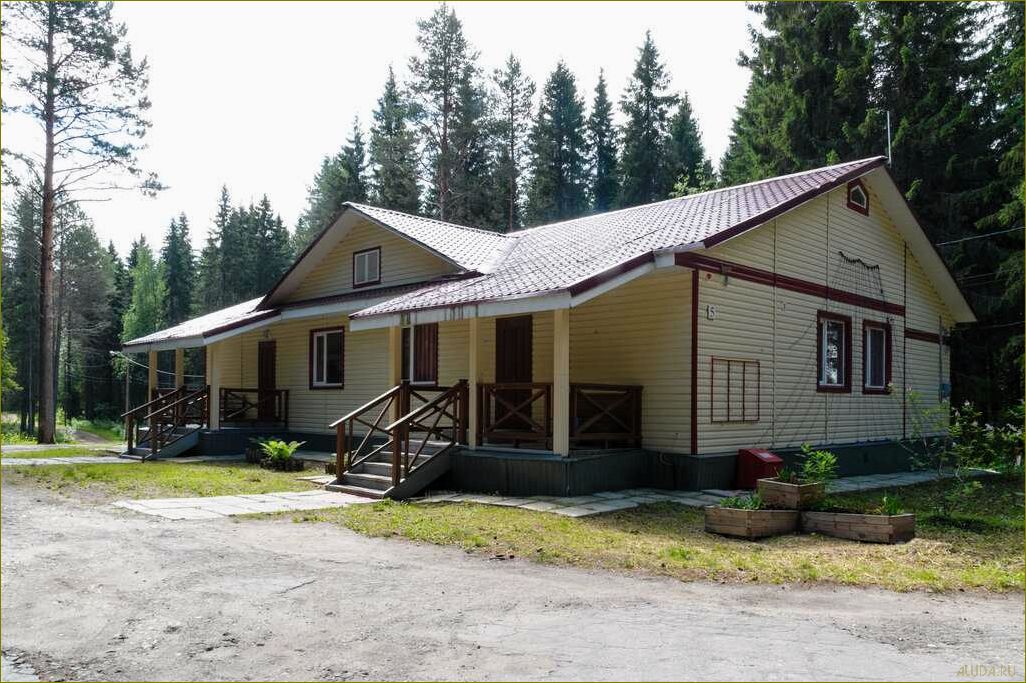 Боброво — отдых в базе отдыха в Архангельской области для полного релакса и наслаждения природой