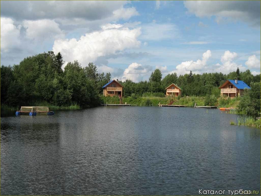 Боброво — отдых в базе отдыха в Архангельской области для полного релакса и наслаждения природой