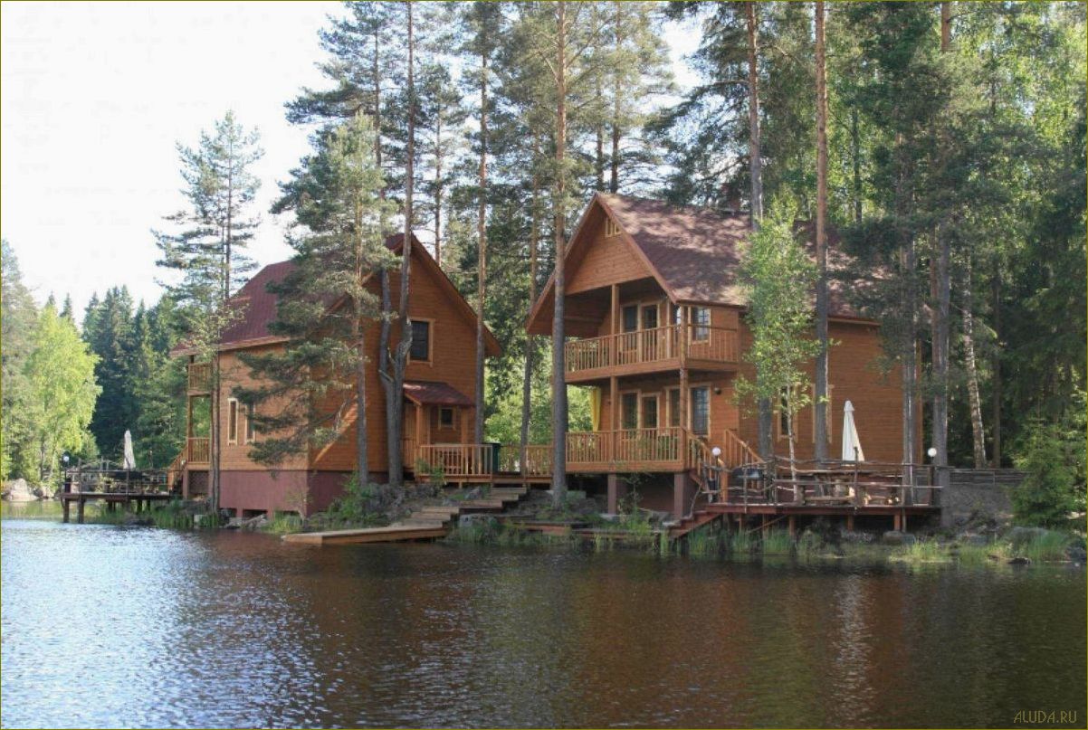 Дешевые базы отдыха в Ленинградской области — где недорого провести отпуск в живописных местах