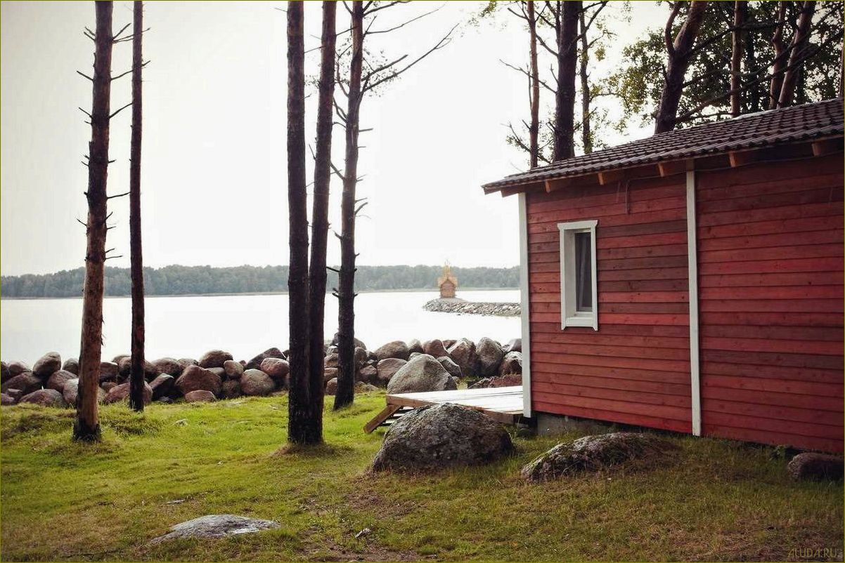 Дешевые базы отдыха в Ленинградской области — где недорого провести отпуск в живописных местах
