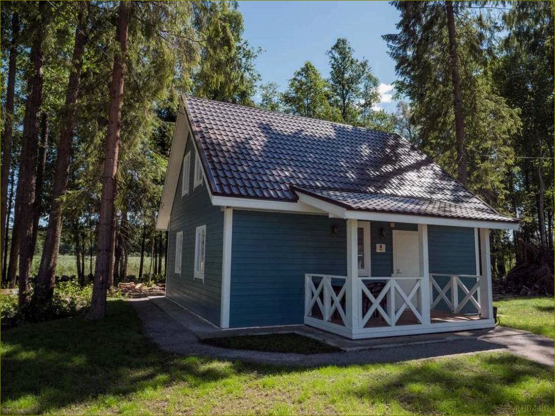 Дешевые базы отдыха в Ленинградской области — где недорого провести отпуск в живописных местах