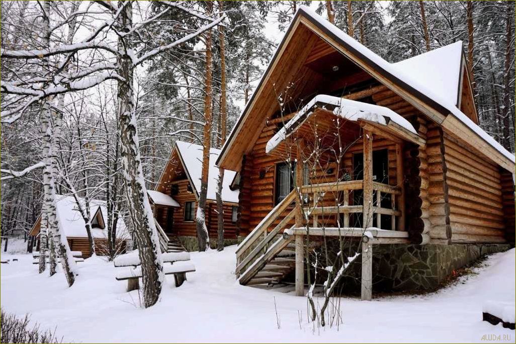 (лучшие, дома, отдыха, липецке, липецкой) Лучшие дома для отдыха в Липецке и Липецкой области — выберите идеальное место для релакса и наслаждения природой