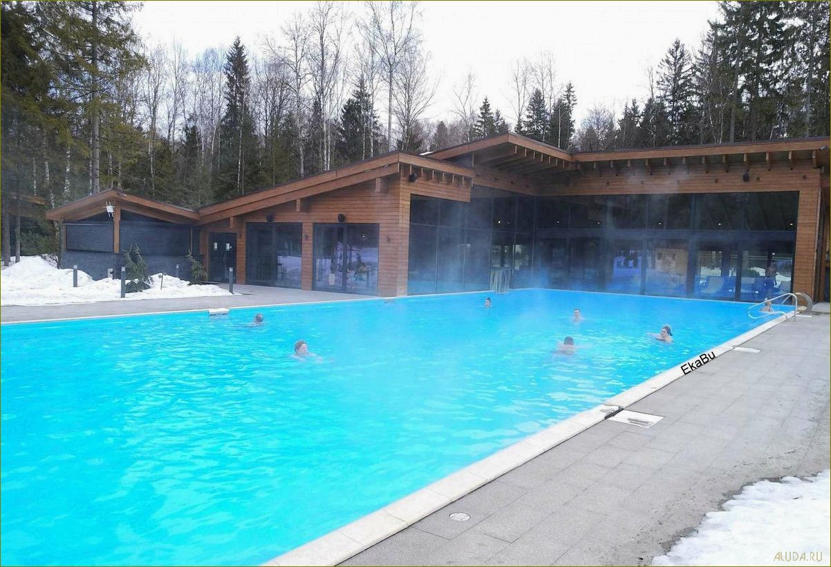 (лучшие, дома, отдыха, открытым, бассейном) Лучшие дома отдыха с открытым бассейном во Владимирской области — идеальное место для незабываемого отдыха и релаксации