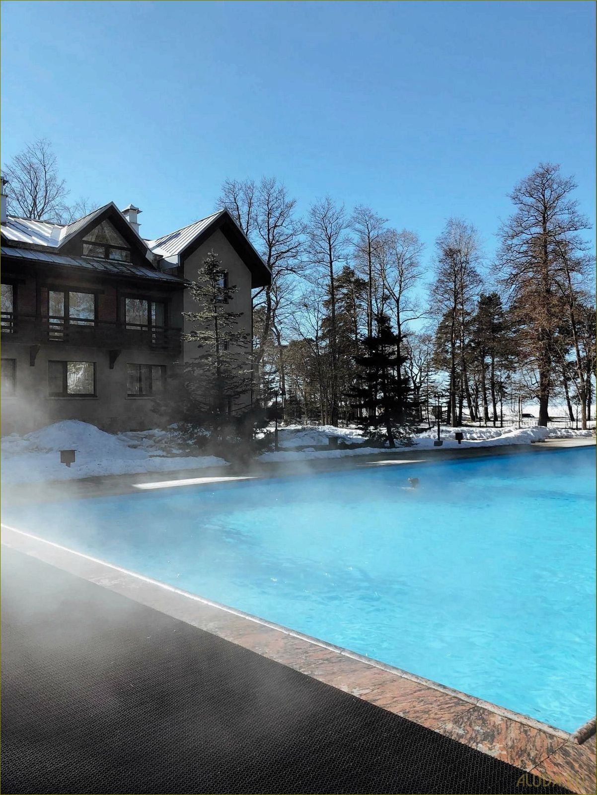 (лучшие, дома, отдыха, открытым, бассейном) Лучшие дома отдыха с открытым бассейном во Владимирской области — идеальное место для незабываемого отдыха и релаксации