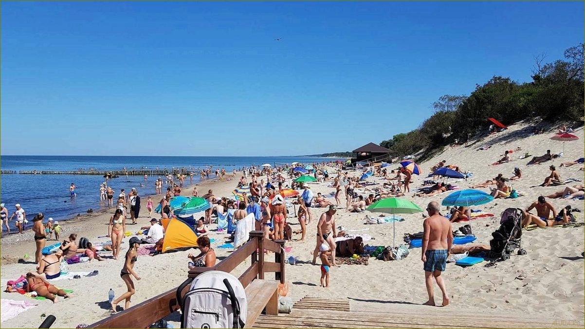 (калининградская, область, зеленоградск, идеальное, место) Калининградская область — зеленоградск — идеальное место для семейного отдыха с детьми