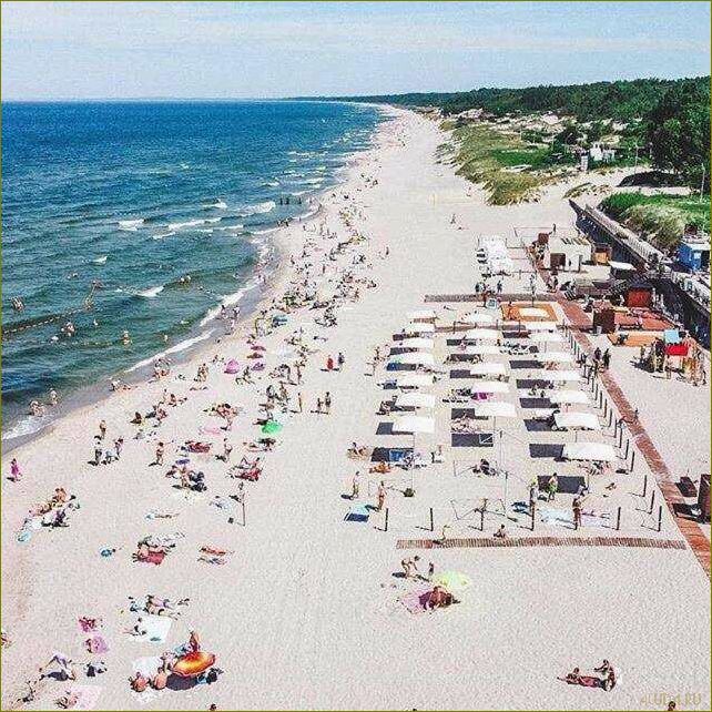 (калининградская, область, зеленоградск, идеальное, место) Калининградская область — зеленоградск — идеальное место для семейного отдыха с детьми