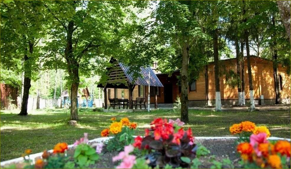 (лесная, база, отдыха, московской, области) Лесная база отдыха в Московской области — идеальное место для активного времяпровождения на природе