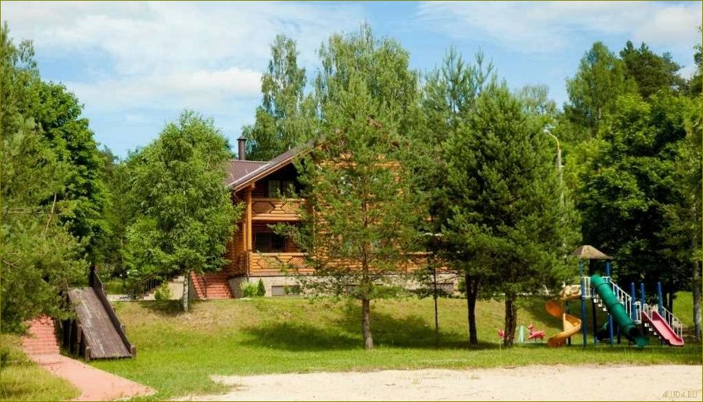 (лесная, база, отдыха, московской, области) Лесная база отдыха в Московской области — идеальное место для активного времяпровождения на природе