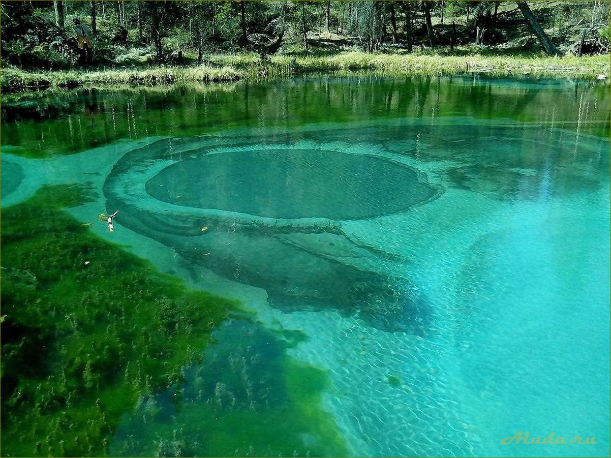 Лучшие места новосибирской области для отдыха — от природных уголков до культурных достопримечательностей