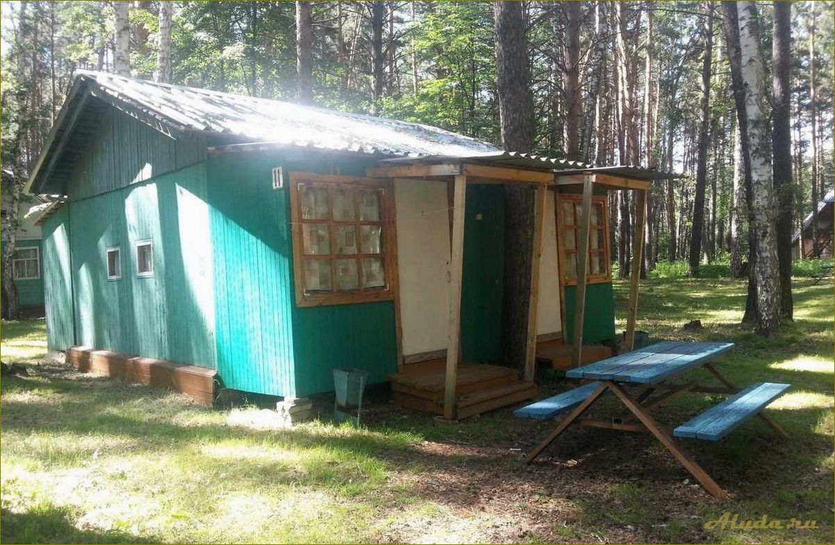 (недорогие, базы, отдыха, новосибирской, области) Недорогие базы отдыха в новосибирской области летом — лучшие варианты для бюджетного отдыха