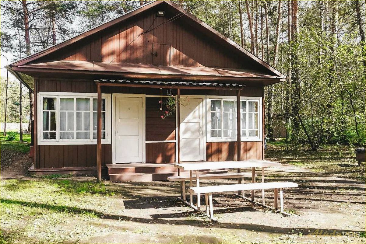 (недорогие, базы, отдыха, новосибирской, области) Недорогие базы отдыха в новосибирской области летом — лучшие варианты для бюджетного отдыха