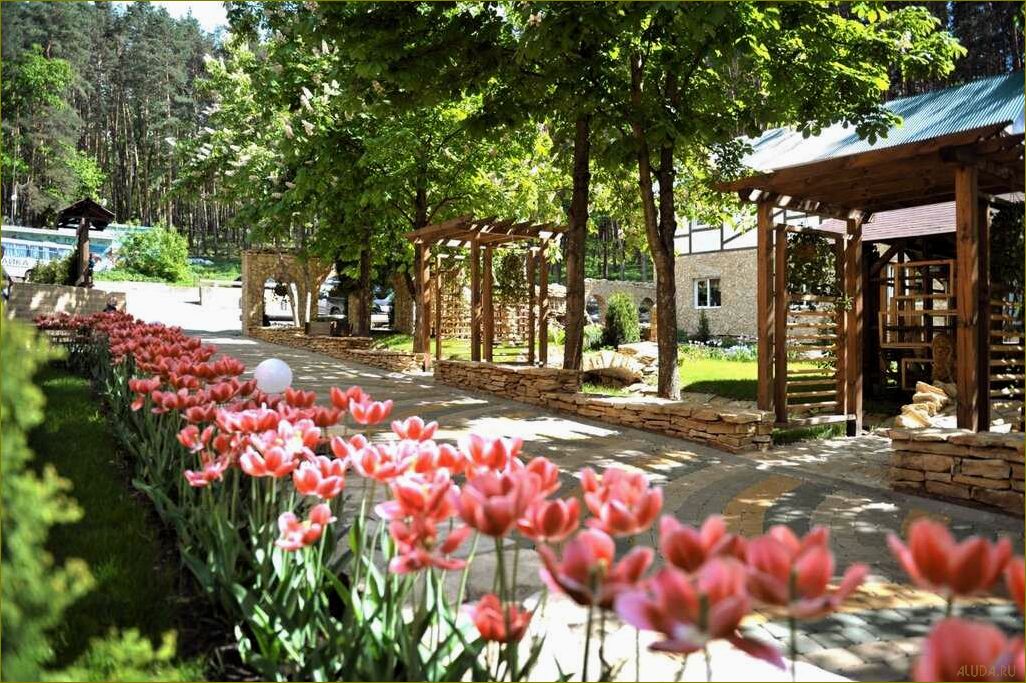 Лучшие номера баз отдыха в прекрасной Липецкой области — комфорт, уют и незабываемые впечатления!