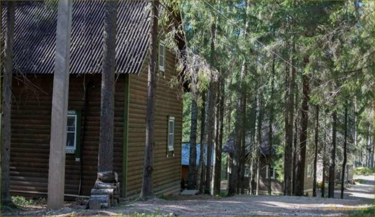 Отпразднуйте Новый год на базе отдыха в Новгородской области и проведите незабываемые каникулы в окружении природы и комфорта