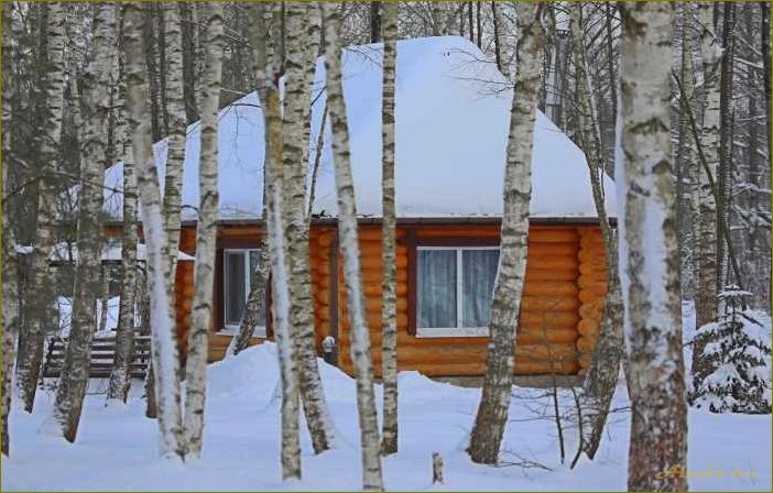 Отпразднуйте Новый год на базе отдыха в Новгородской области и проведите незабываемые каникулы в окружении природы и комфорта