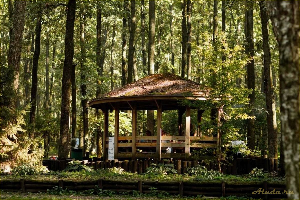 Отдых в орловской области — наслаждайтесь природой в уютной беседке