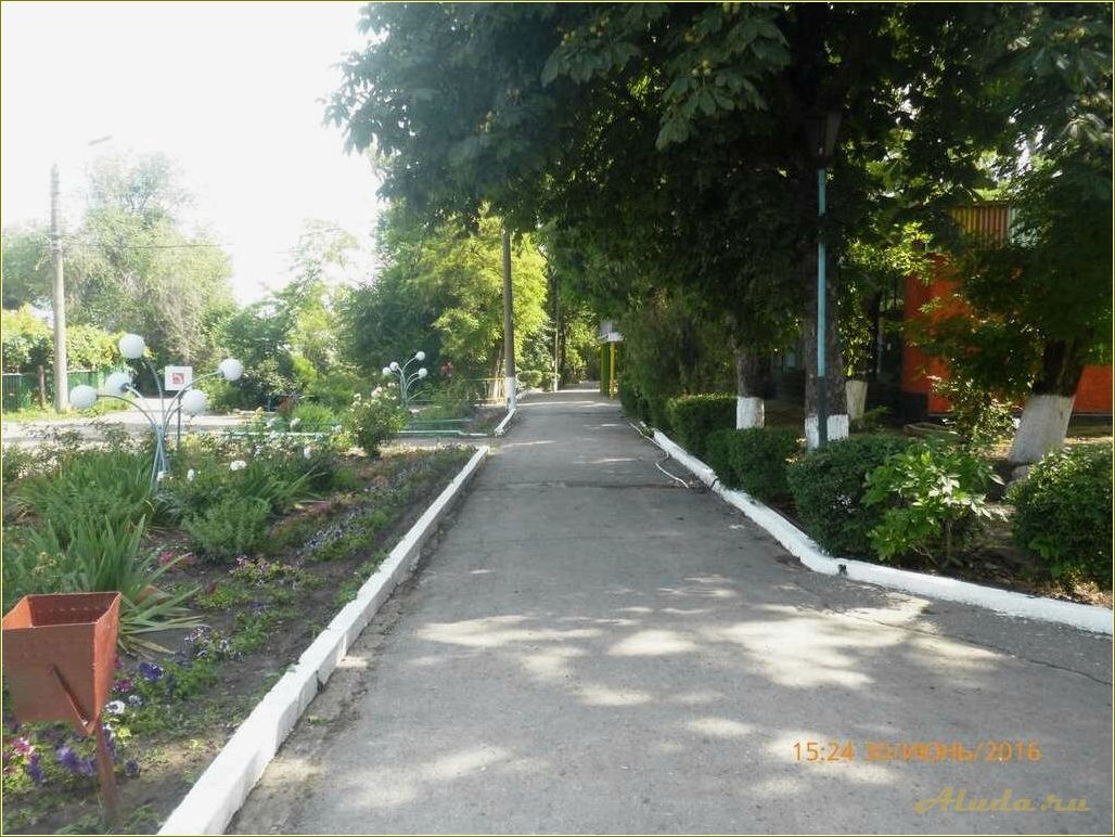 Отдых в Дмитриадовке, Ростовская область — насладитесь живописными пляжами и уникальной природой