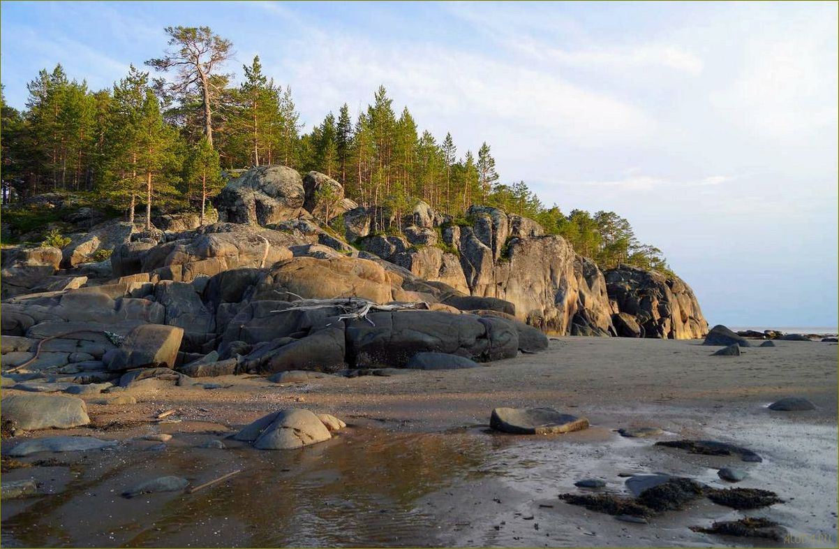 (отдых, берегу, архангельской, области, прекрасные) Отдых на берегу Архангельской области — прекрасные пляжи, удивительная природа и незабываемые впечатления