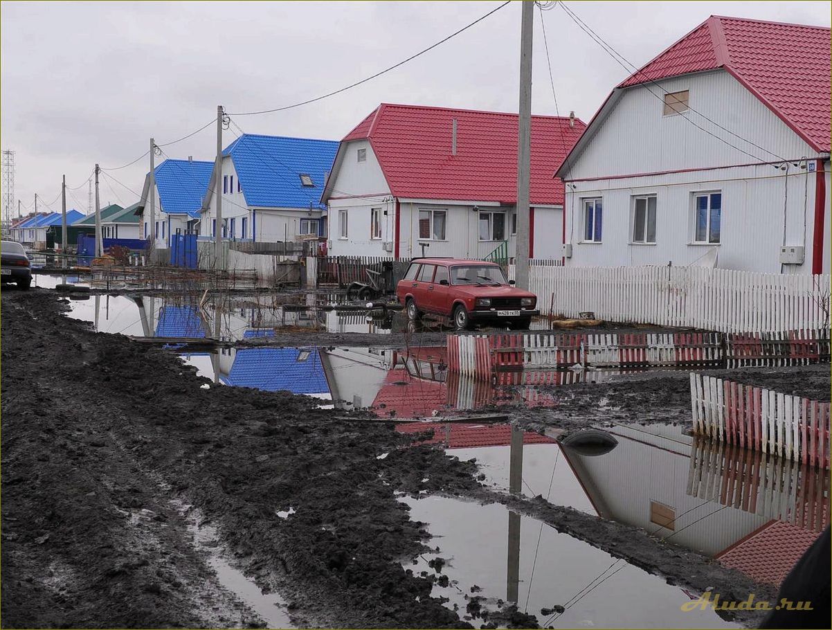 Отдых на Исилькуле Омской области — лучшие места, активности и развлечения