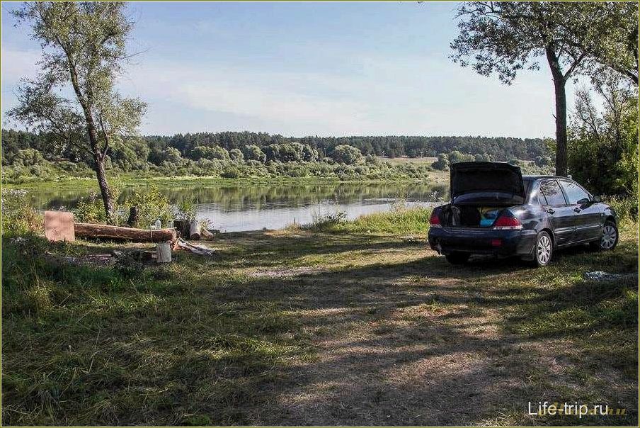 (отдых, рязанская, область, дикарем, лучшие) Отдых на оке Рязанская область дикарем — лучшие места для природного туризма и активного отдыха