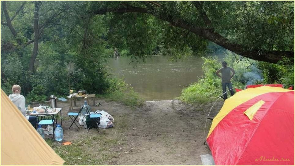 (отдых, рязанская, область, дикарем, лучшие) Отдых на оке Рязанская область дикарем — лучшие места для природного туризма и активного отдыха