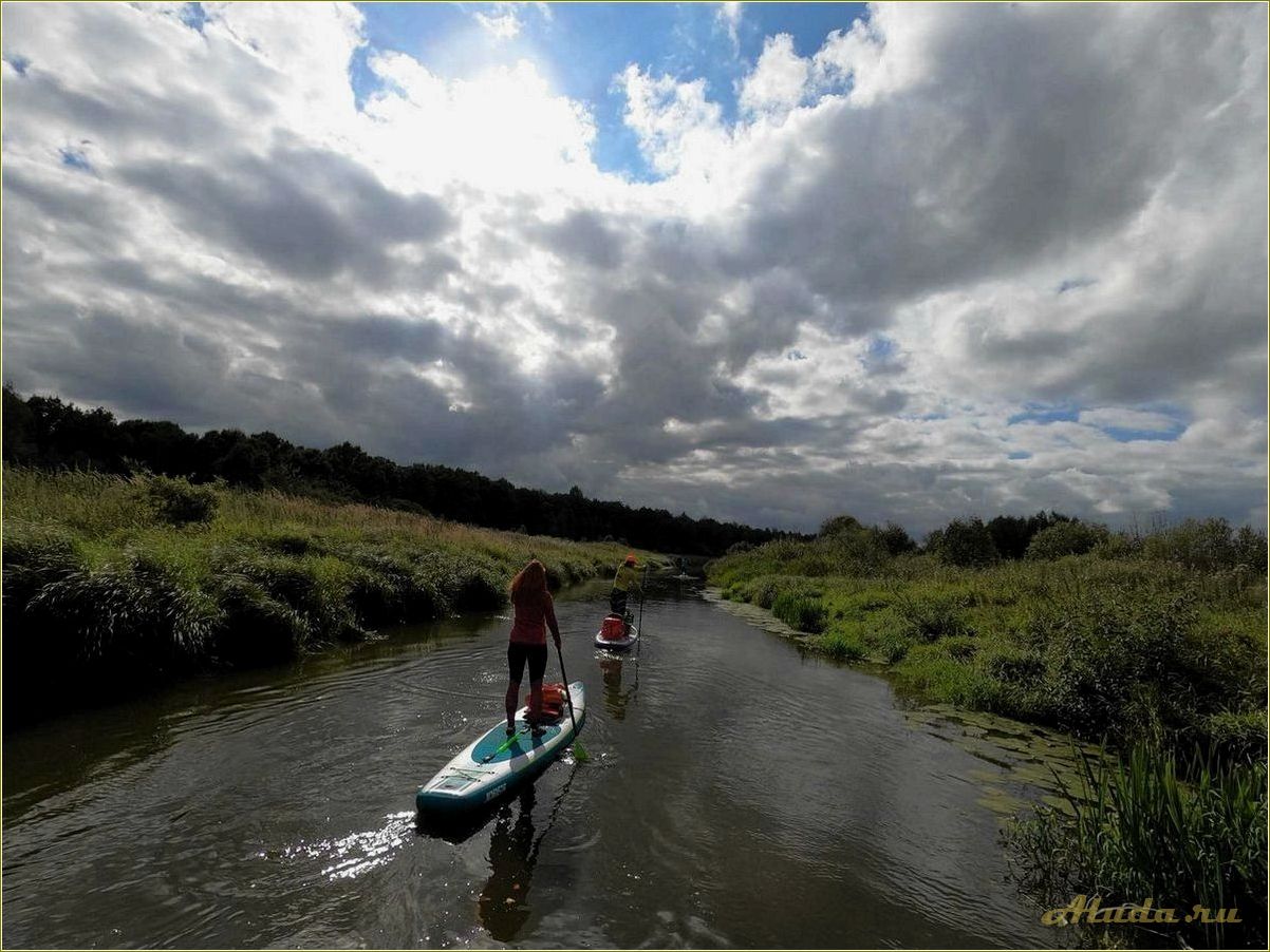 Отдых на реке Цна в Рязанской области — идеальное место для релаксации и активного времяпровождения