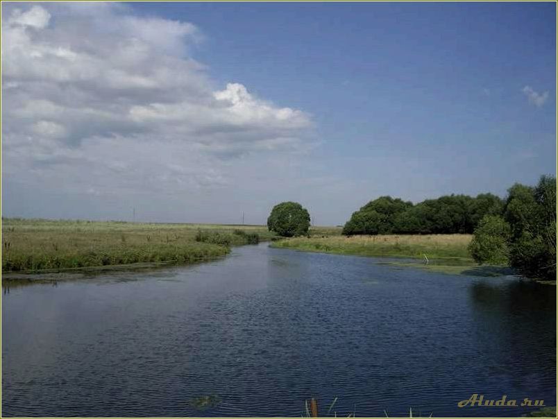 Отдых на реке Цна в Рязанской области — идеальное место для релаксации и активного времяпровождения
